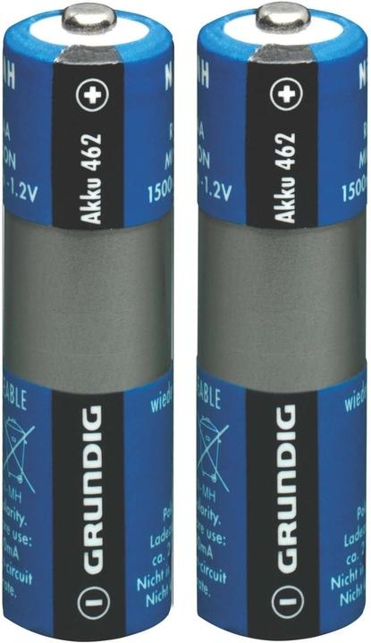 Actual product image Grundig Battery pack 462 (2 pcs., AAA, 650 mAh)