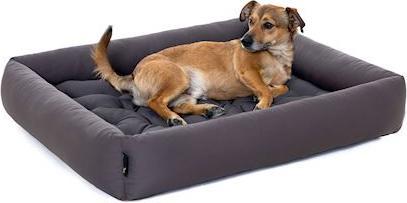 Actual product image Pointer Dog cushion (Dog)