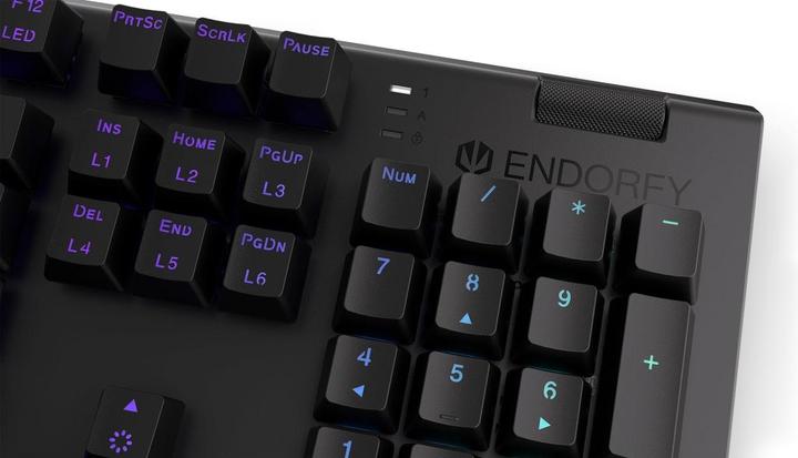 Actual product image Endorfy Omnis keyboard USB QWERTY Black (US, Cable)