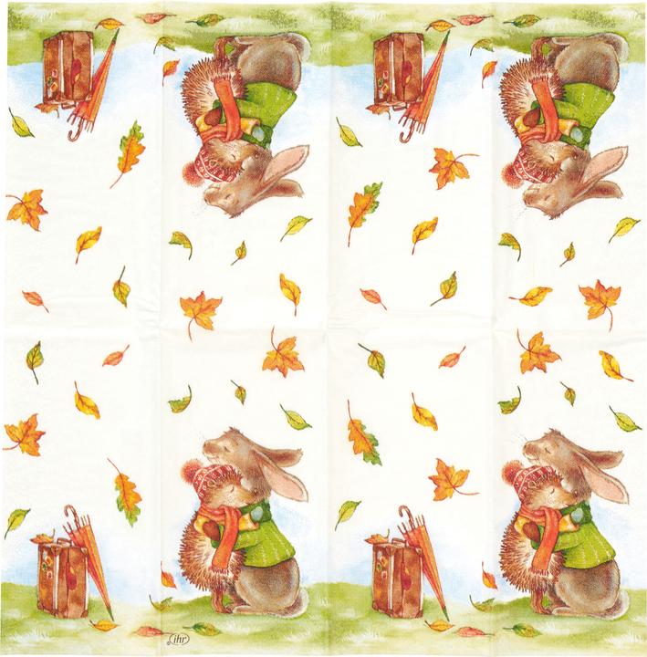 Produktbild IHR Papiertaschentücher "Best Friends Forever"