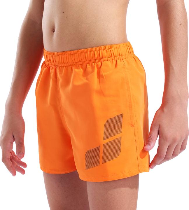Image du produit Arena B Beach Short Logo R (128)
