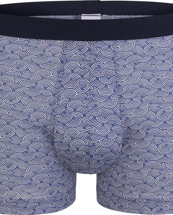 Produktbild ISA Bodywear Fairtrade BioCotton Pant (XXL, Einzelpack)