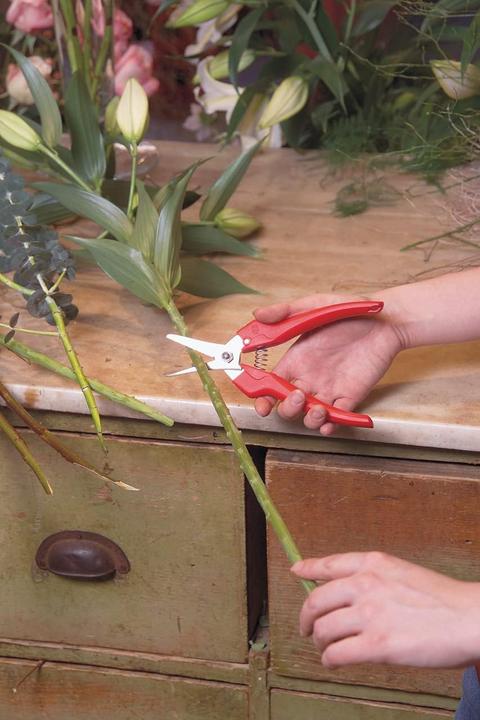 Actual product image Felco Reading scissors no. 310