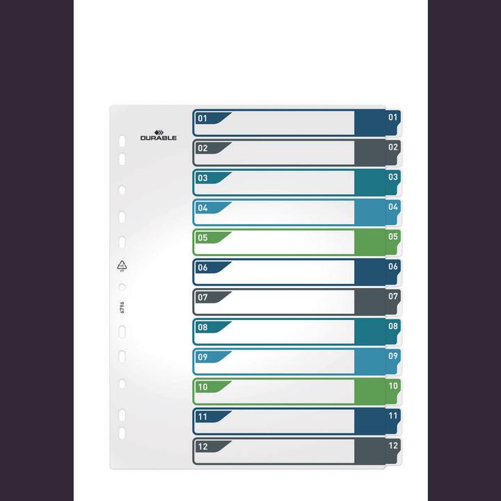 Actual product image Durable Register A4 + 12pcs. 1-12 coloured tabs+trans. Form.