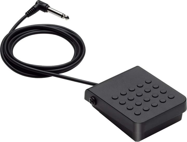 Actual product image Casio SP-3 (Keyboard Pedal)