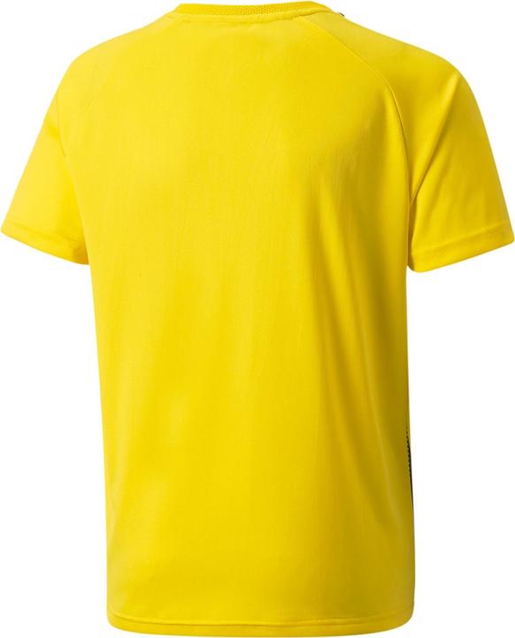 Produktbild Puma teamLIGA Striped Jersey Jr-704927 (140)