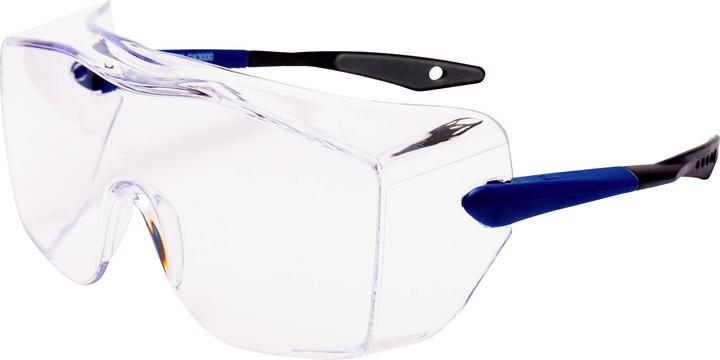 3M Safety glasses 17-5118-3040 Blue