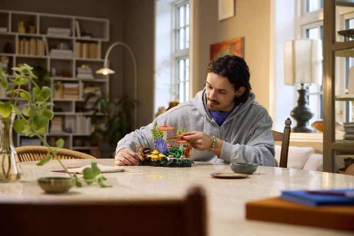 Produktbild LEGO 11505 Waldpilze (LEGO Botanicals)