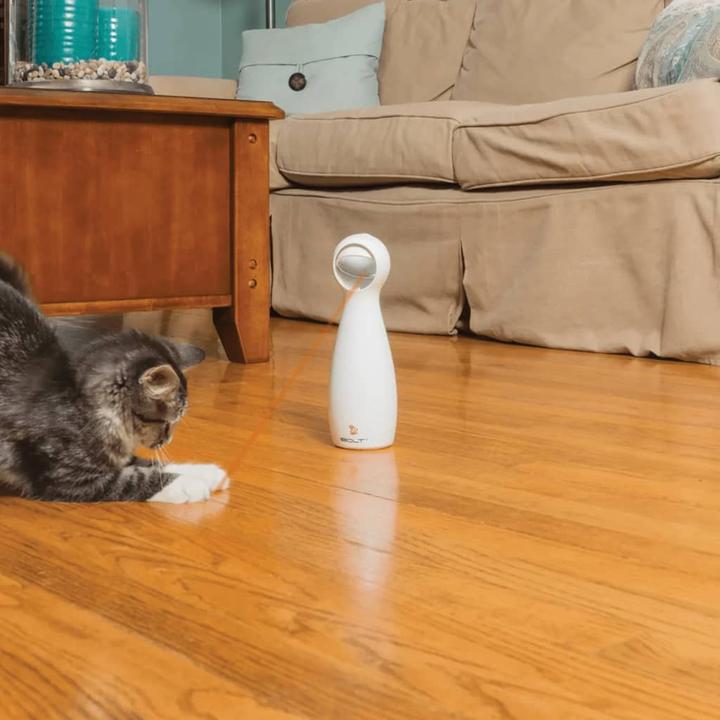 Produktbild PetSafe Bolt (Katzenminzespielzeug)
