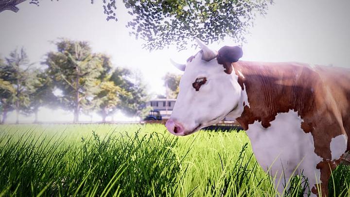 Produktbild Bandai Namco Real Farm Sim, PS4 (PS4)