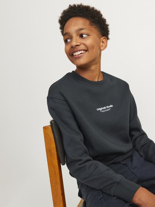 Produktbild Jack & Jones Jorvesterbro Sweat Crew Neck Bn Mni (104)