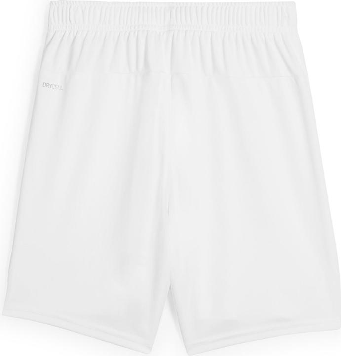 Produktbild Puma teamGOAL Shorts Jr (176)
