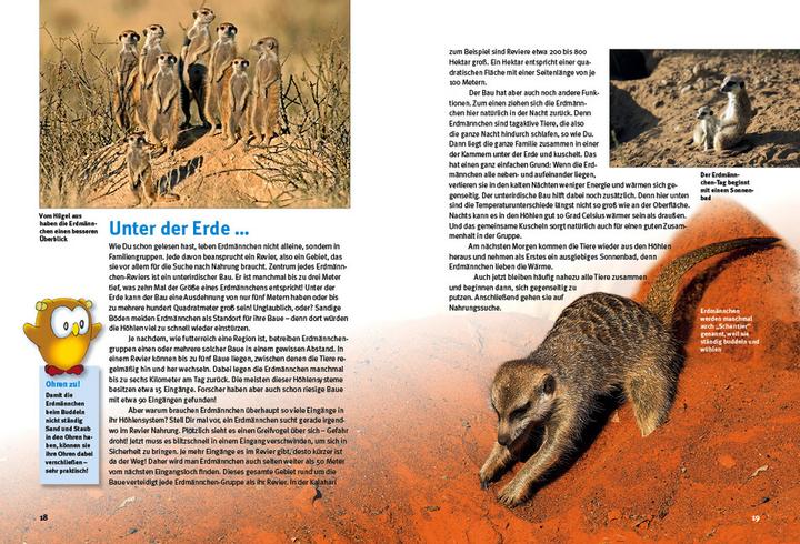 Produktbild Entdecke die Erdmännchen (Deutsch, Christian Ehrlich, 2023)