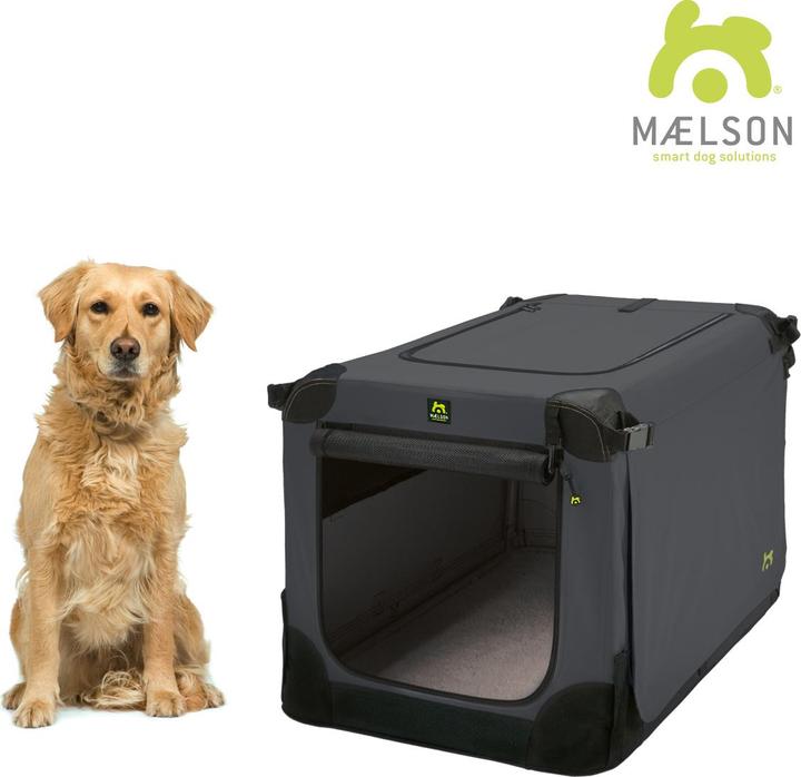 Actual product image Maelson Transport box (Dog, Foldable, Washable)