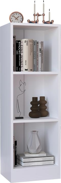 Image du produit VCM Bois Rangement Étagère sur pied Bibliothèque Déco Livres Étagère sur pied Dilos S 3 compartiments (38 x 30 x 114 cm)