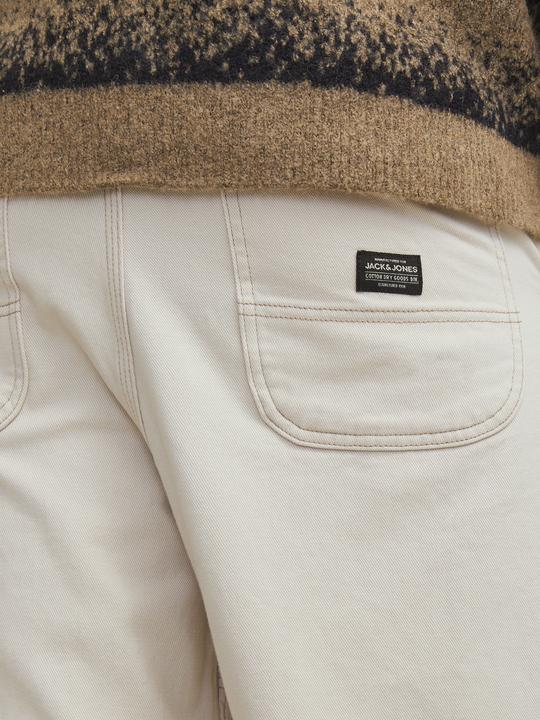 Actual product image Jack & Jones Jpstowen Contrast Panel Pants Sn (W32/L34)