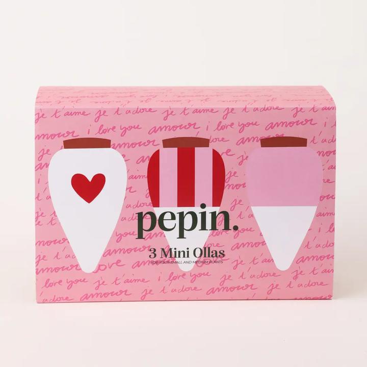 Immagine prodotto Bewässerungskegel Mini Ollas Rosa Herzen (3er Set) (Cono di argilla)