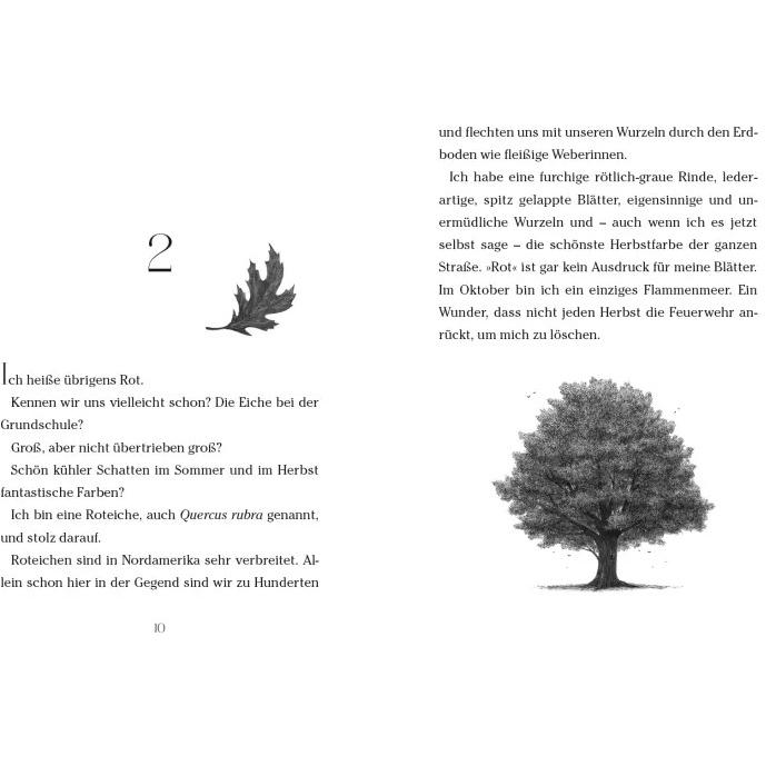 Thumbnail - Baum der Wünsche, Kinderbücher von Katherine Applegate