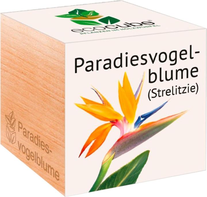 Feel Green Paradiesvodelblume (Blumensamen)