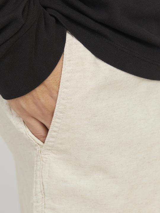 Image du produit Jack & Jones Hose Jpstjaiden Campaign (S)