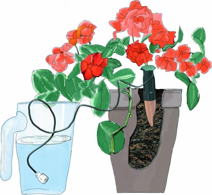 Produktbild Windhager Wasserspender (Tonkegel)