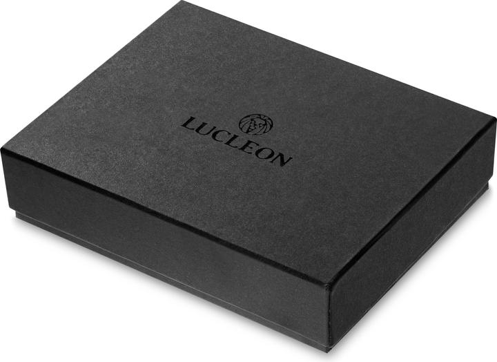 Actual product image Lucleon Lincoln