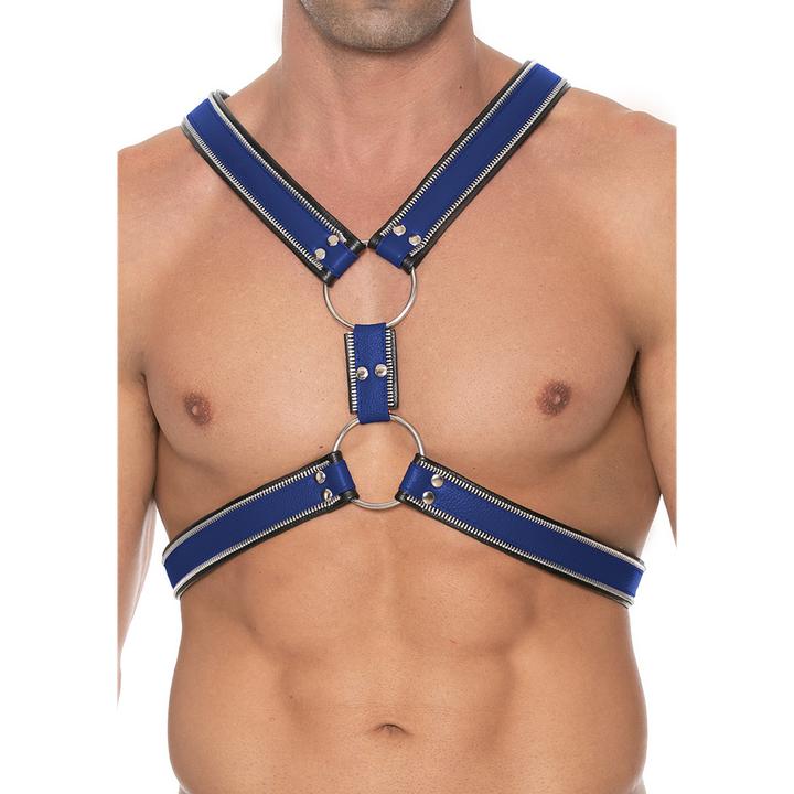 Actual product image Ouch! Z Series Scottish Harness/Blue - S/M