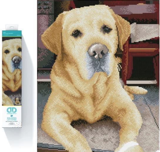 Image du produit Diamond Dotz Squares Original Diamond Painting Set Labrador "KING" 40 x 50 cm, 28.200 carrés