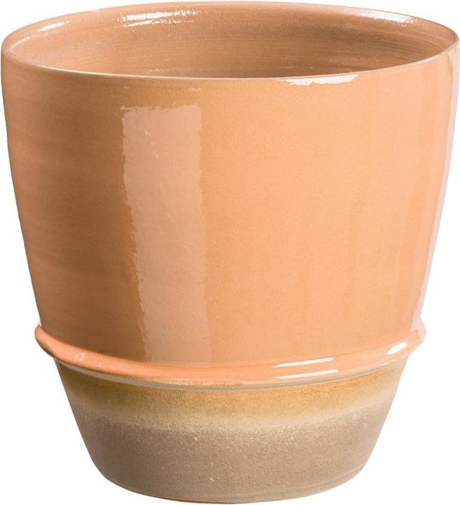 pfister Caché (30 cm)