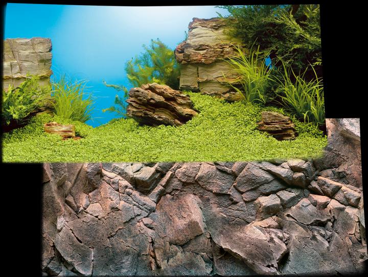 Actual product image Juwel Aquarium Photo back cover (Rear panel, other items)