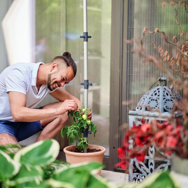 Actual product image Gusta Garden Tomato Buddy Starter (125.10 x 18 x 125.10 cm)