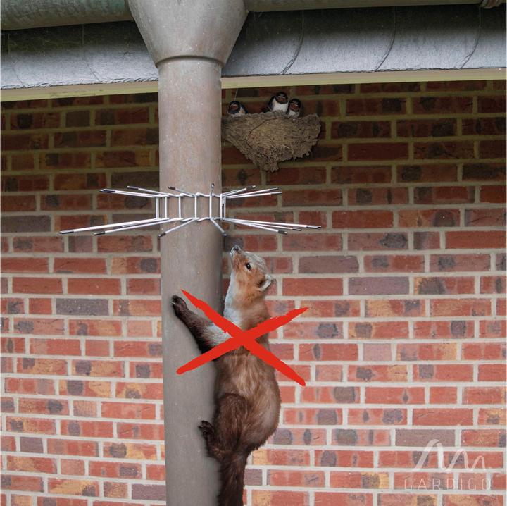 Produktbild Gardigo Marderabwehrgürtel