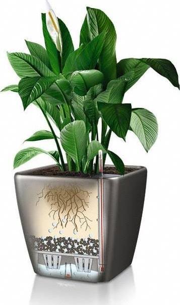 Immagine prodotto Lechuza Quadro LS (22.50 x 22.50 x 20.50 cm)