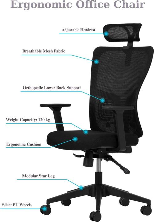 Image du produit Kalune Design Lumbar 126 Black Office Chair Set 2 Pieces