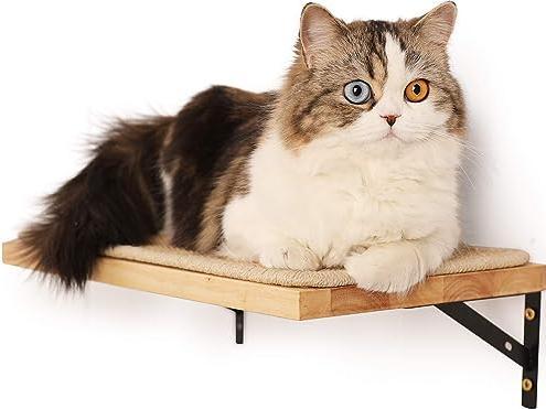 Produktbild Alopini Kletterwand Katzen, Katzenbett Wand aus 2cm starkem Vollgummiholz mit widerstandsfähiger (10 cm, Mehrfarbig)