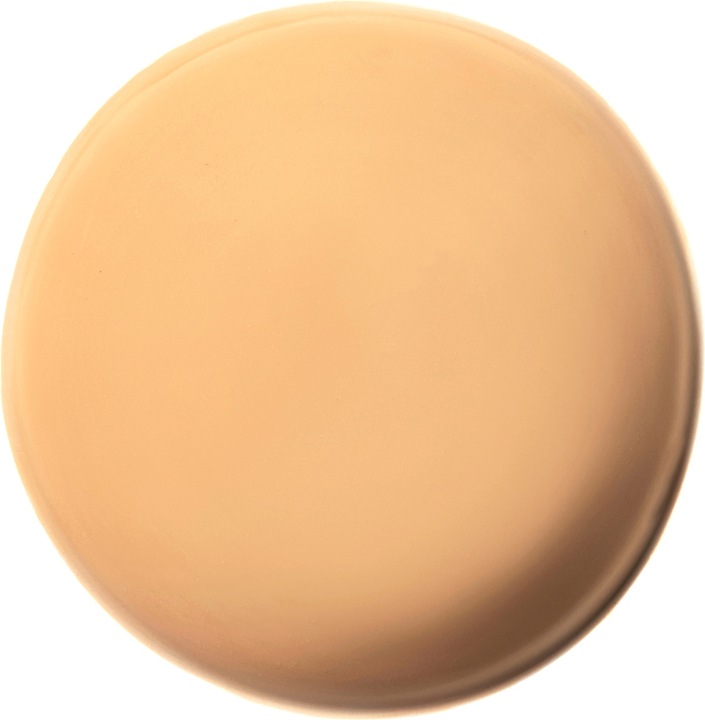 Actual product image Anastasia Beverly Hills Magic Touch Concealer (11)