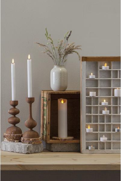 Actual product image Star Trading Paulo (2 x)