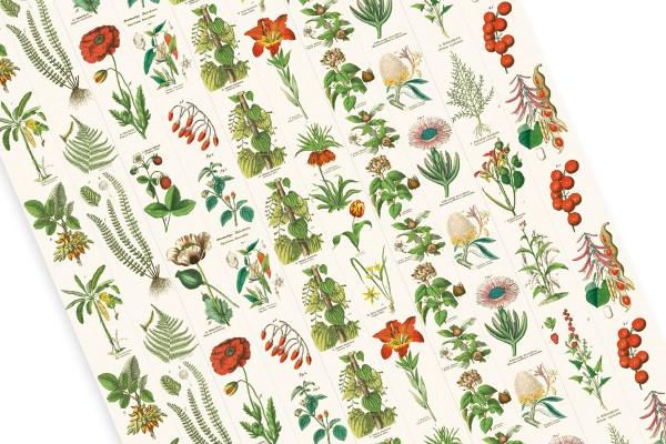 Produktbild Book Flora