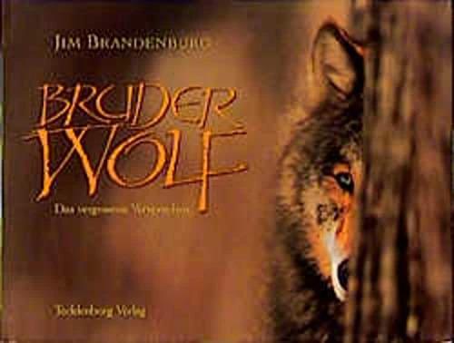 Produktbild Bruder Wolf (Deutsch, Jim Brandenburg, 1996)
