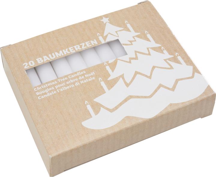 Immagine prodotto pfister Candele di base per l'albero (20 pz.)