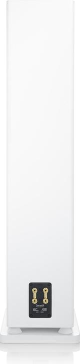 Actual product image Canton Townus 90 (1 pair)