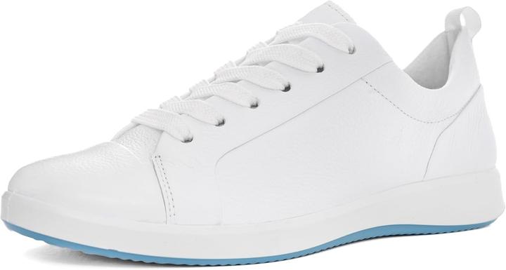 Image du produit Ara Roma (40)