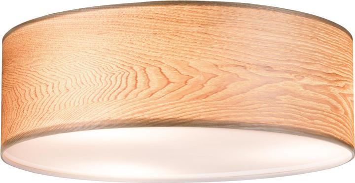 Produktbild Paulmann Neordic Liska (E27)