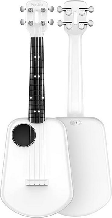 Actual product image Populele Plus (Electrical)