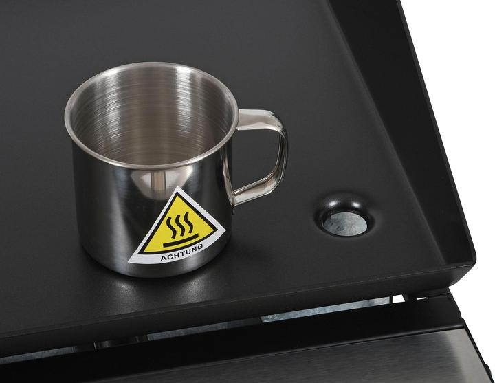 Actual product image BBQ Dragon Valencia (6.30 kW)