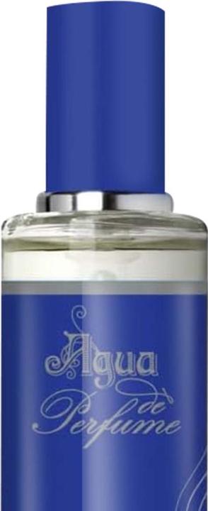 Actual product image Alvarez Gomez TITANIO HOMME edp vapo 30 ml (Eau de parfum, 30 ml)