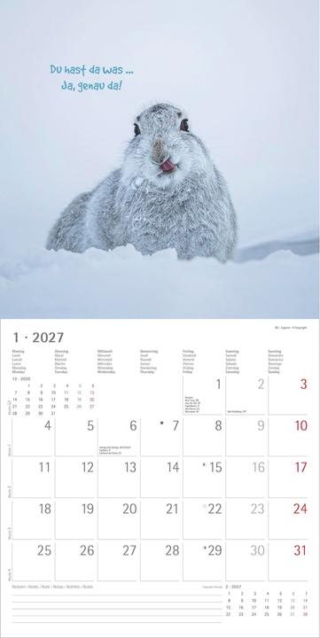 Produktbild Alpha Edition Funny Animals 2027