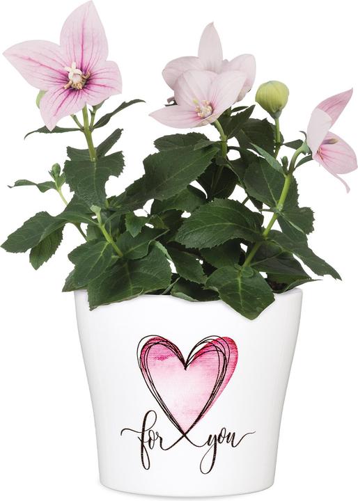 Produktbild Scheurich With Love (13.10 x 11.20 cm)