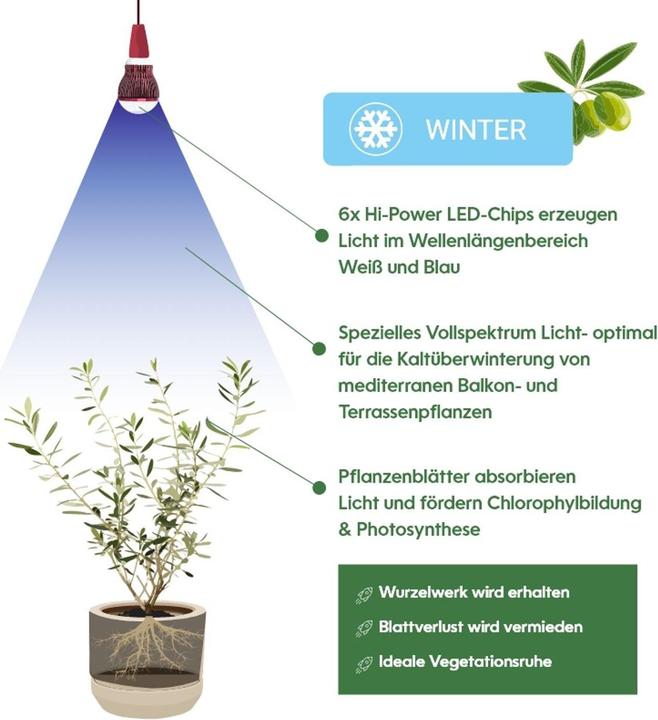 Produktbild Venso Grow Light Winter (LED)