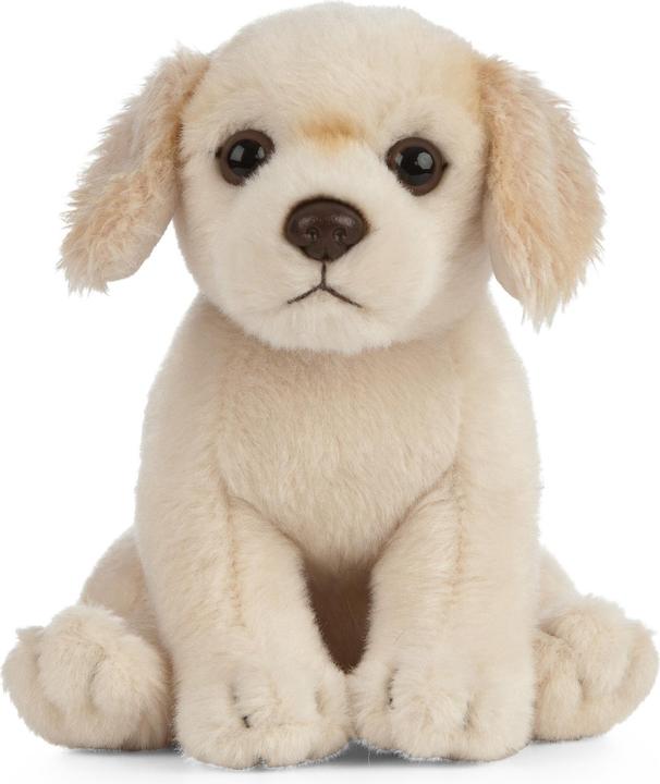 Image du produit Living Nature Golden Retriever chiot (16 cm)